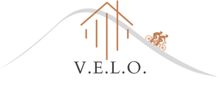 Logo V.E.L.O.
