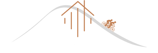 Logo V.E.L.O. Wit